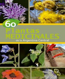 60 Plantas medicinales de la Argentina Central